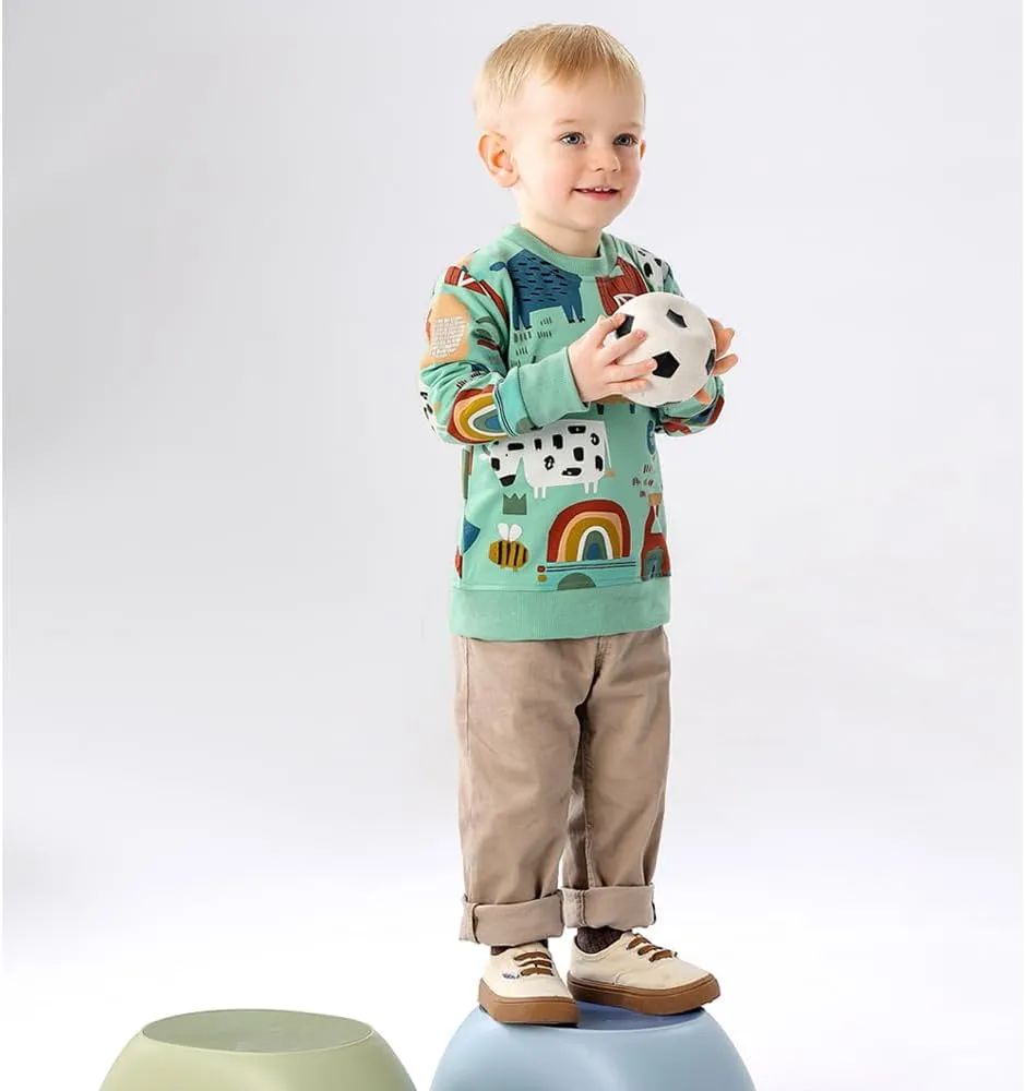 GFQLONG 2 Pack Toddler Boys Long Sleeve Pullover Crewneck Tops Shirts, Cotton Warm Dinosaur Cartoon Sweatshirts