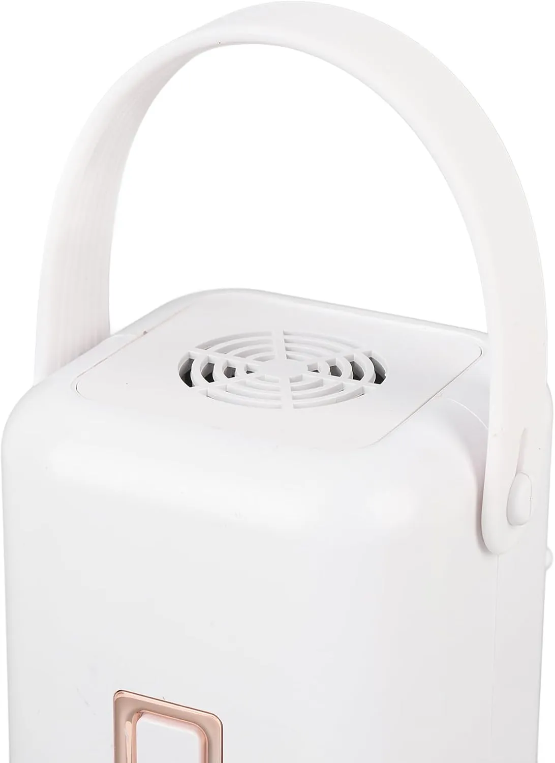 Portable Clothes Dryer, Travel Laundry Dryer Quick Drying Gentle for Travel (US Plug 110V)